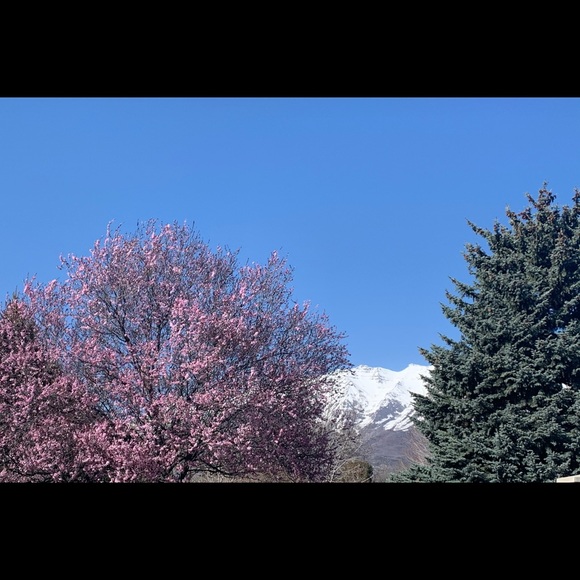 Meet your Posher, - Picture 1 of 1